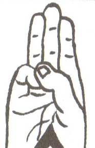 Pfadfindergruss